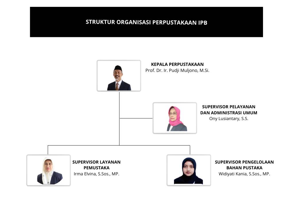 Struktur Organisasi IPB1
